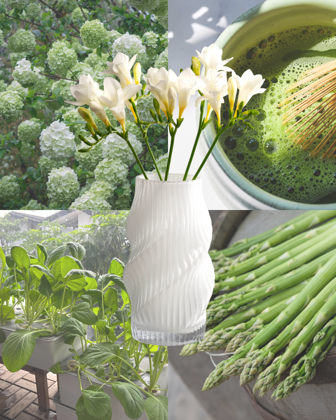 Weiße strukturierte Vase mit weißen Blüten vor einer frischen, grünen Kollage aus Pflanzen, Matcha und Spargel.