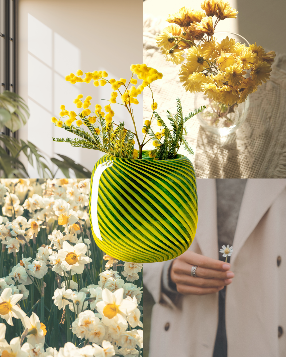 Grün-gelb gestreifte Vase mit gelben Blüten, eingebettet in einer sonnige Kollage aus Mimosen, Narzissen und einer Person mit Blume.