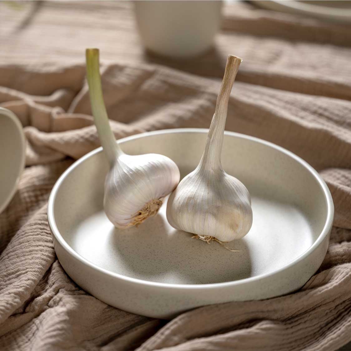 Keramikteller ROMA 20 cm creme tief 6er-Set