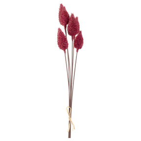 Sea Holly VERNAZZA 6er-Set 65 cm rot