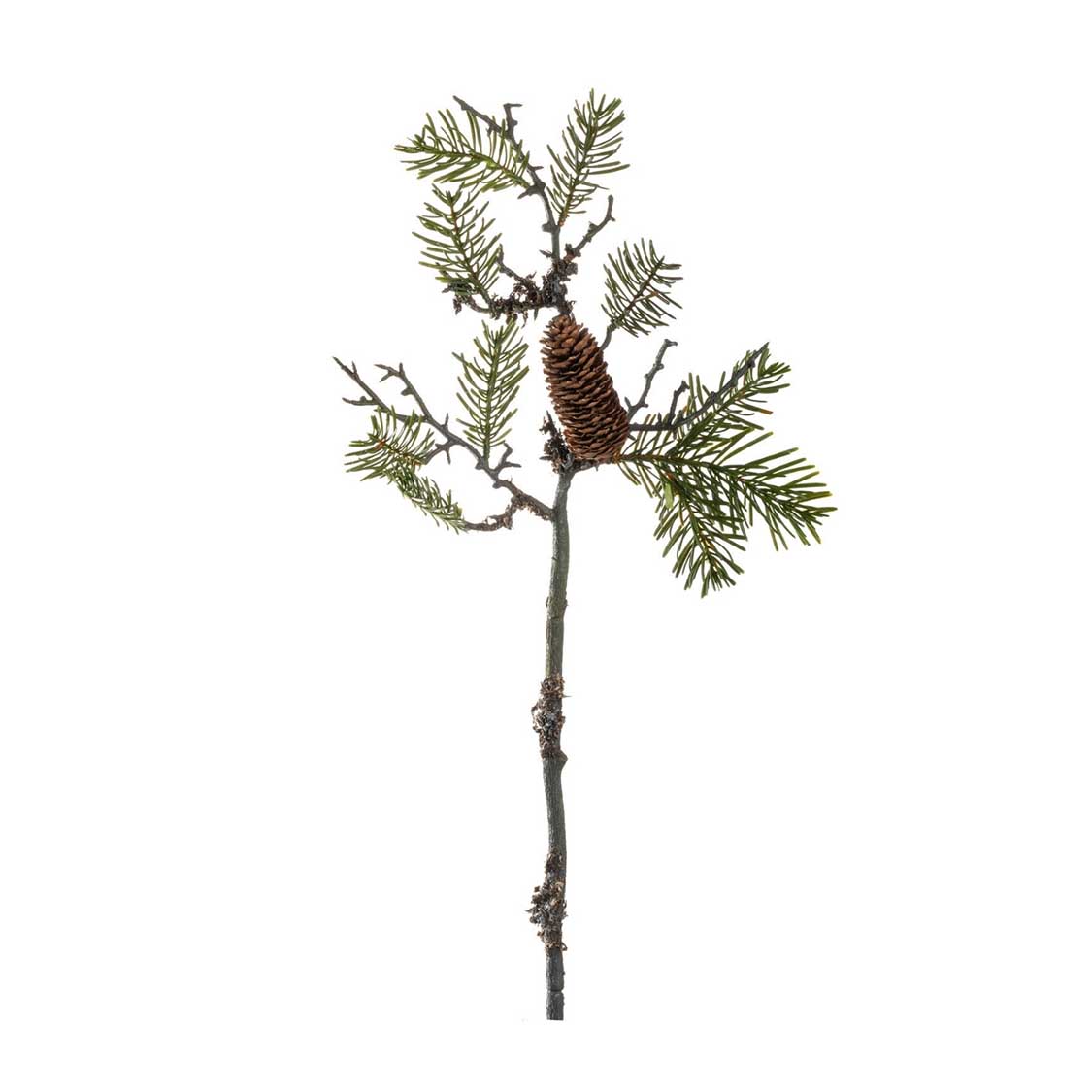 Pinienzweig 56cm AUTENTICO