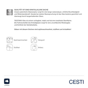 Trinkglas CESTI 460 ml 6er-Set + Poliertuch