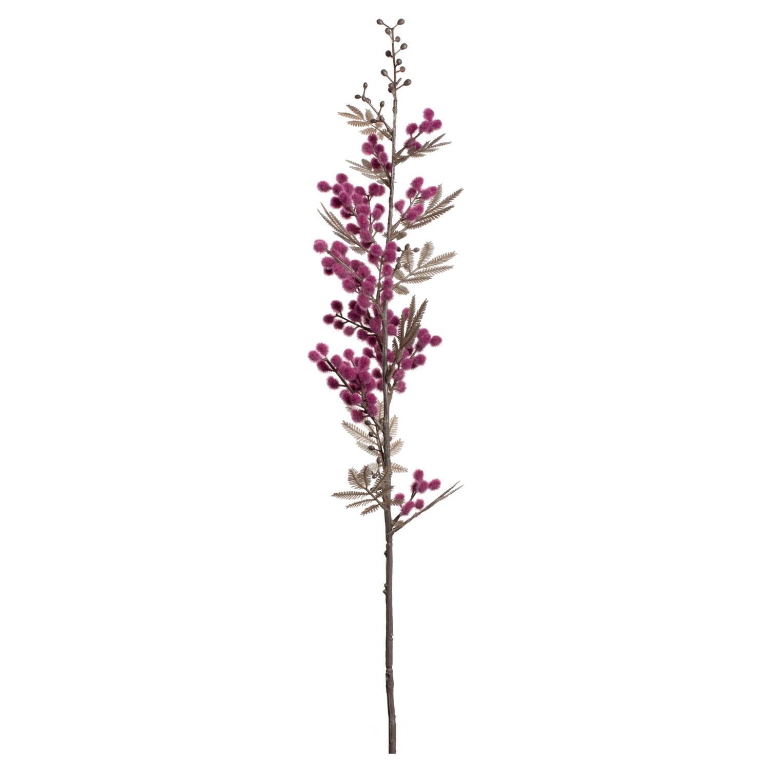Mimose PALAZZO 70 cm viola
