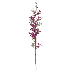 Mimose PALAZZO 70 cm viola
