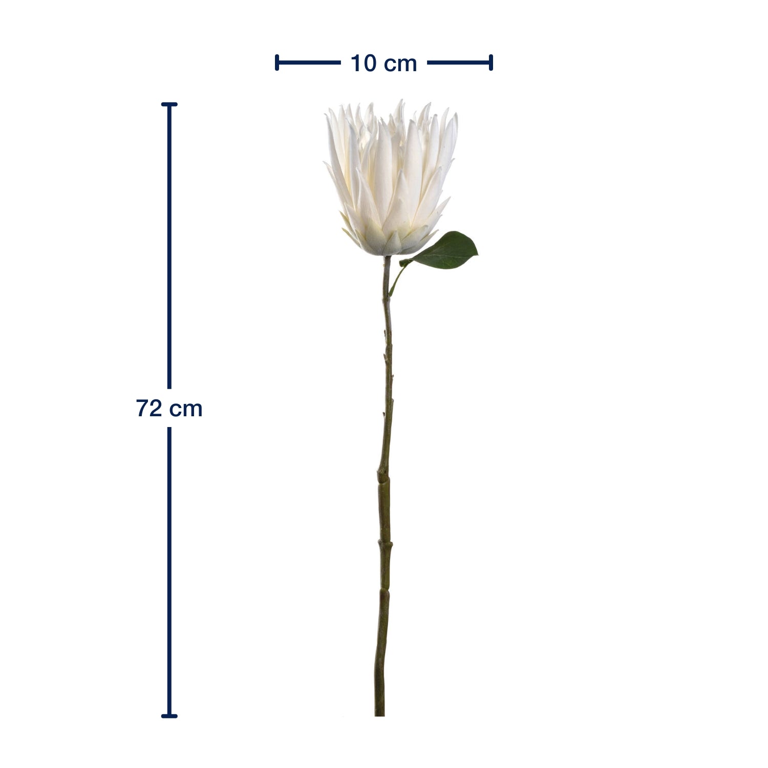 Prothea FIORE 72 cm weiß