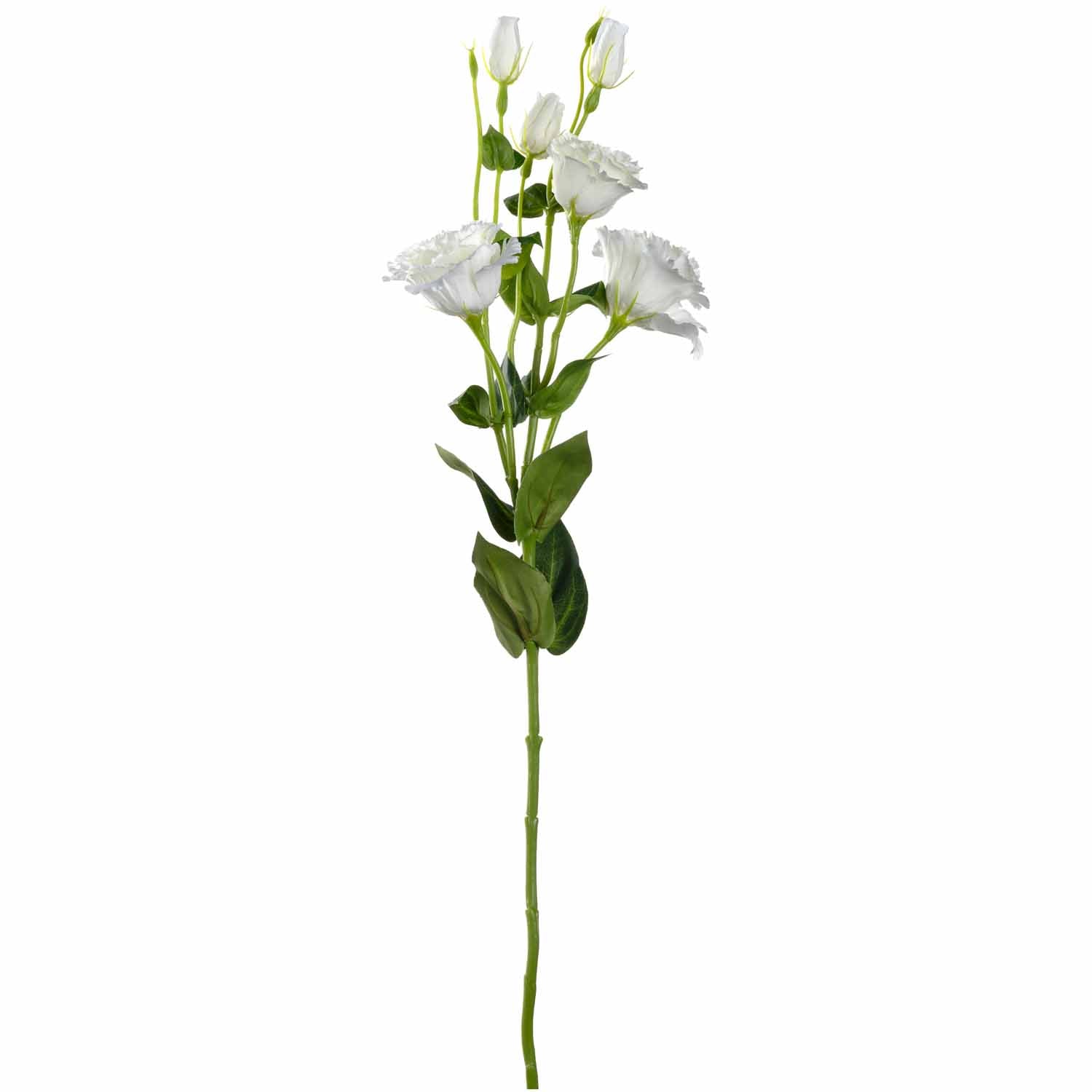 Lysianthus FIORE 78 cm weiß