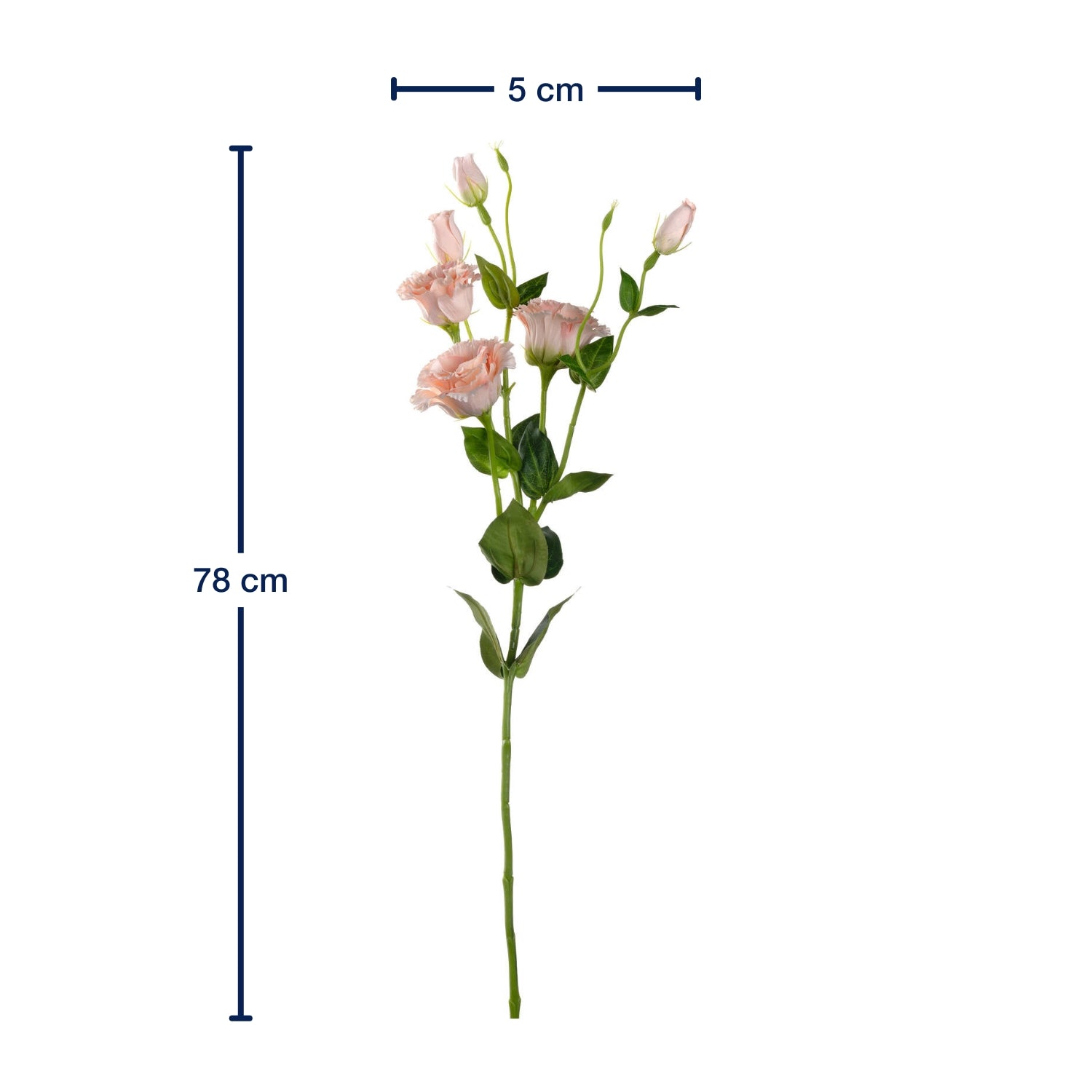 Lysianthus FIORE 78 cm apricot