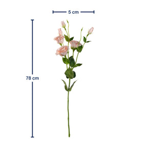 Lysianthus FIORE 78 cm apricot