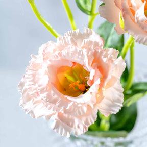 Lysianthus FIORE 78 cm apricot