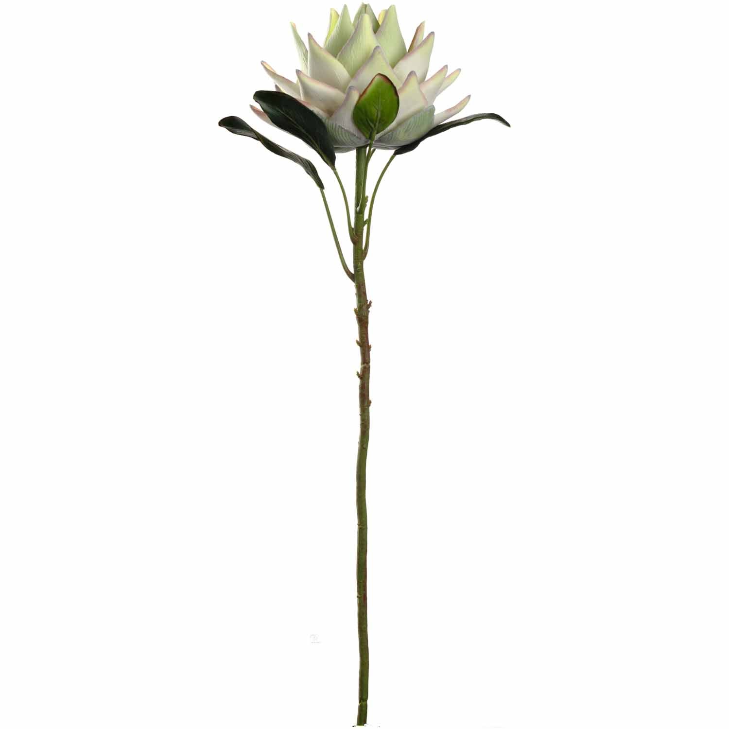 Prothea FIORE 56 cm weiß