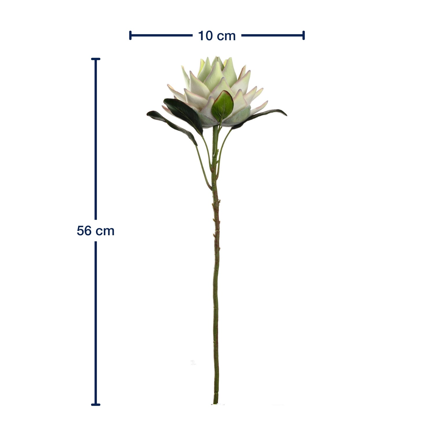 Prothea FIORE 56 cm weiß