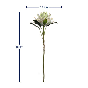 Prothea FIORE 56 cm weiß