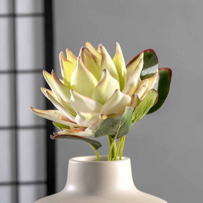 Prothea FIORE 56 cm weiß