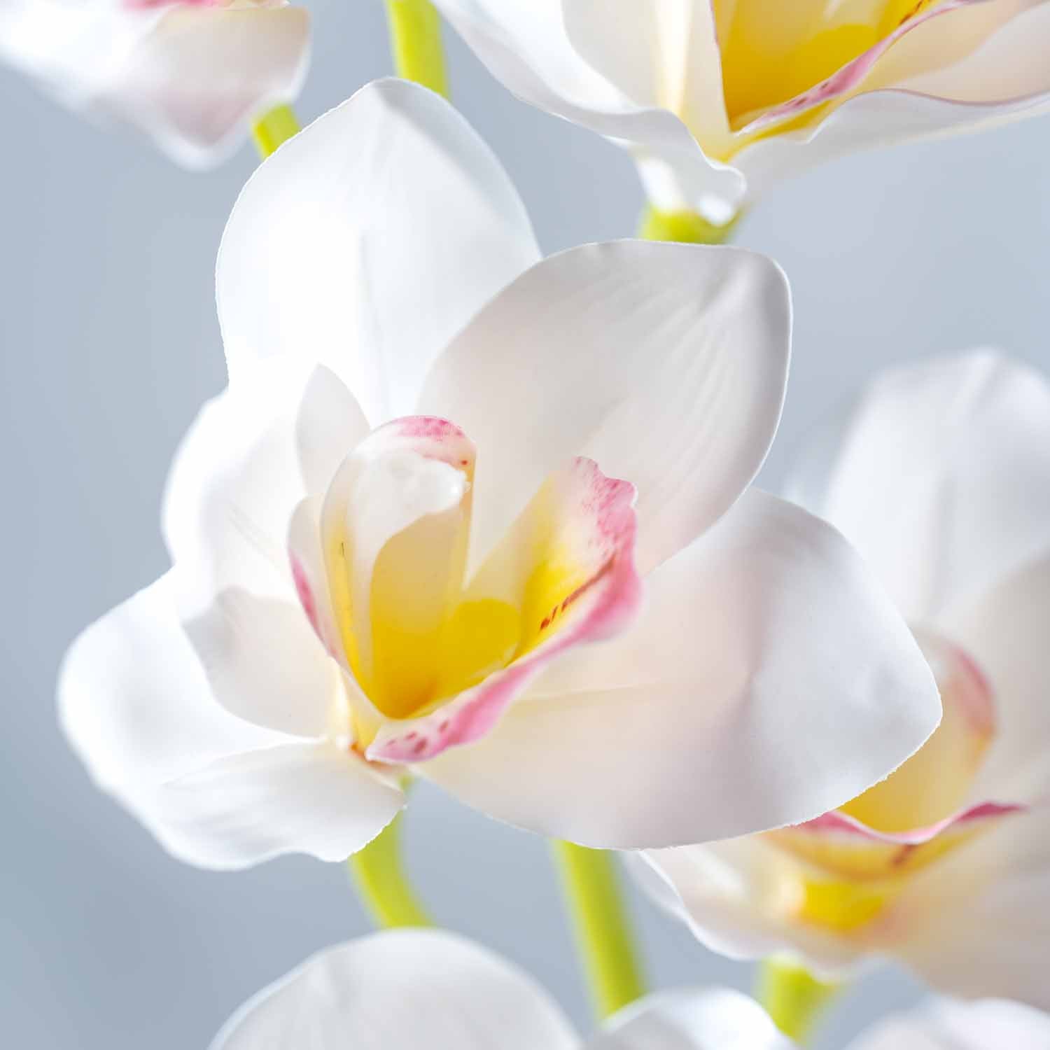 Orchidee FIORE 90 cm weiß