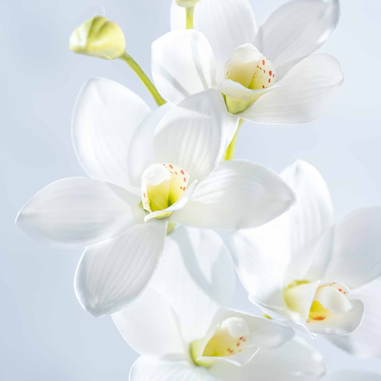 Orchidee FIORE 76 cm weiß