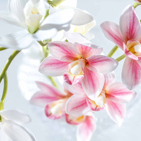 Orchidee FIORE 76 cm pink