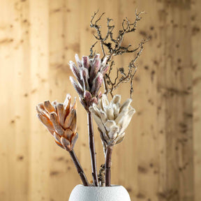Zweig FIORE 76 cm braun