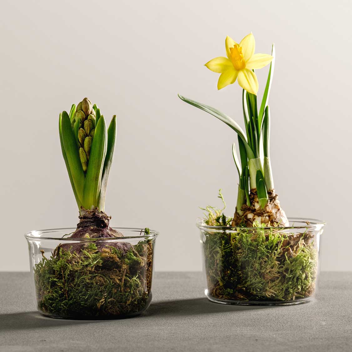 Schale VETRO 9 cm 2er-Set