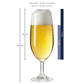 Bierglas DAILY 360 ml 6er-Set