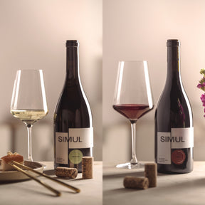 PUCCINI Rotweinglas 750 ml & Weißweinglas 560 ml 12er-Set