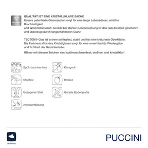 Champagnerschale PUCCINI 350 ml 6er-Set
