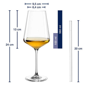 Weißweinglas Geschenkset PUCCINI 5-teilig 560 ml mit persönlicher Gravur
